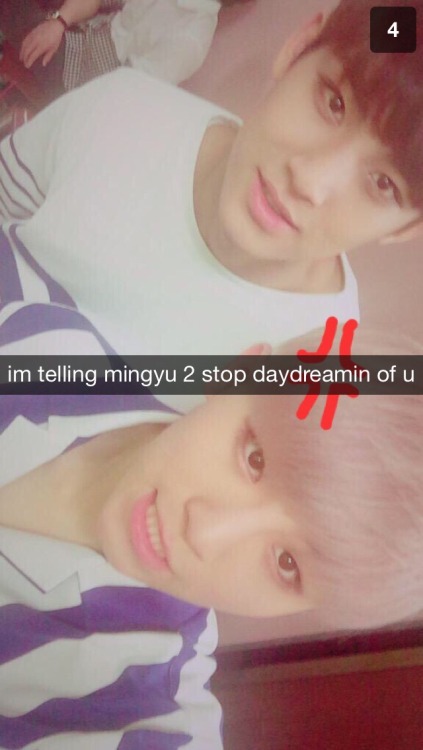 mingyu daydreaming of u (and annoying the members!!)-admin chan :~)