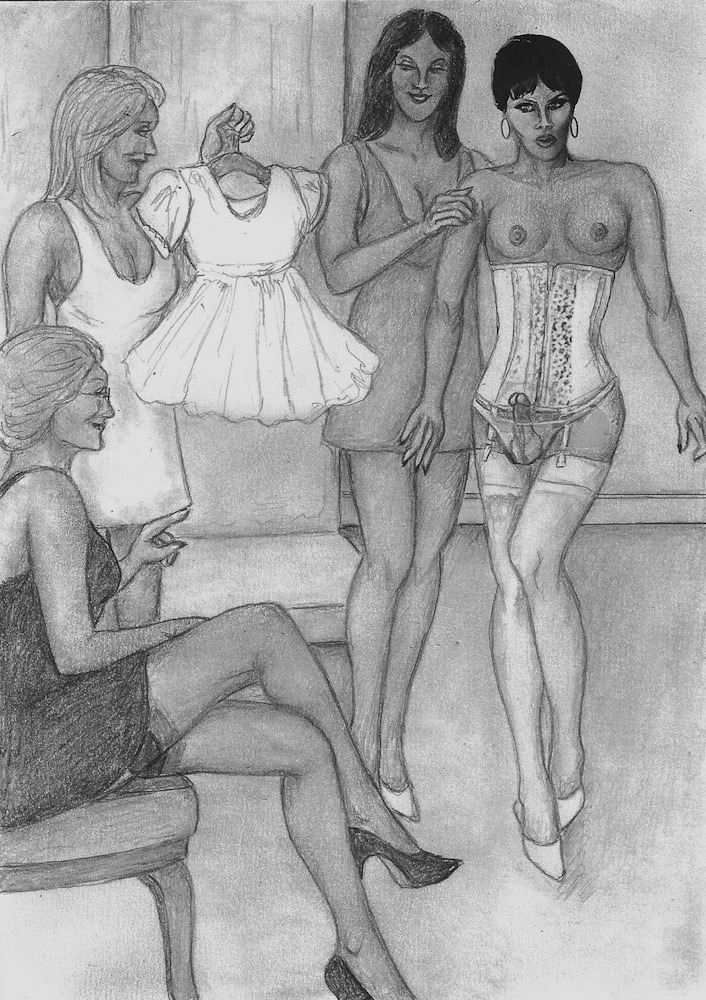 Tranny Illustrated