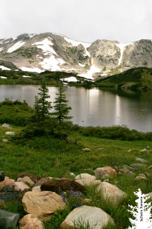 infiniteforests - Wyoming can be cool, too. 