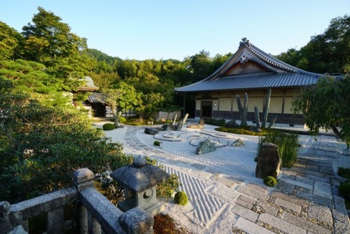 chitaka45: 京都 圓光寺 ❤️の石 見つけた。 Kyoto enkoji temple