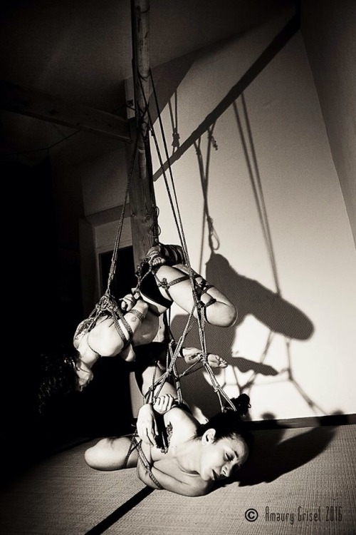 amaury-grisel-shibari:  Cordes intimes avec Ema et Diana  Kinbaku & Photography : Amaury Grisel  Studio place des cordes 