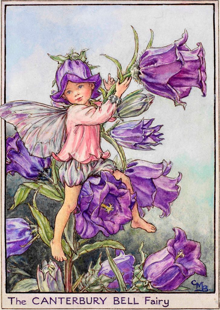 art-from-me-to-you:Cicely Mary Barker, Fairies of the Garden