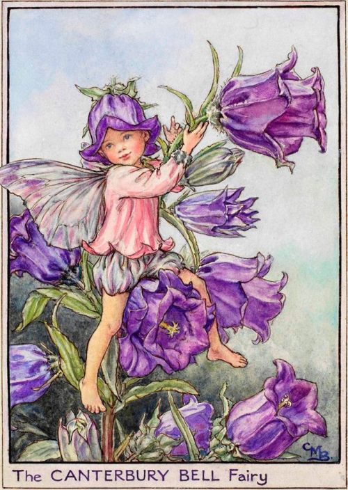 art-from-me-to-you: Cicely Mary Barker, Fairies of the Garden