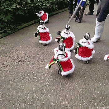 thenatsdorf:It’s that time of year. (via amazingjapan)