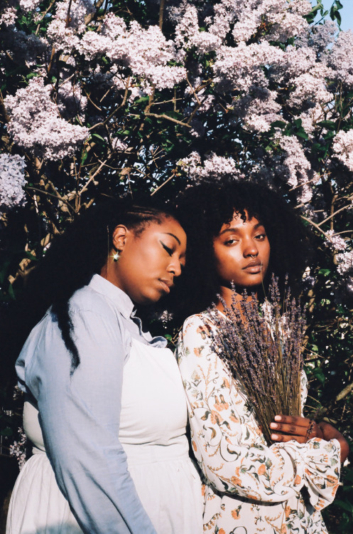 rookiemag:  RetrogradeThere must be a connection.By Mars.