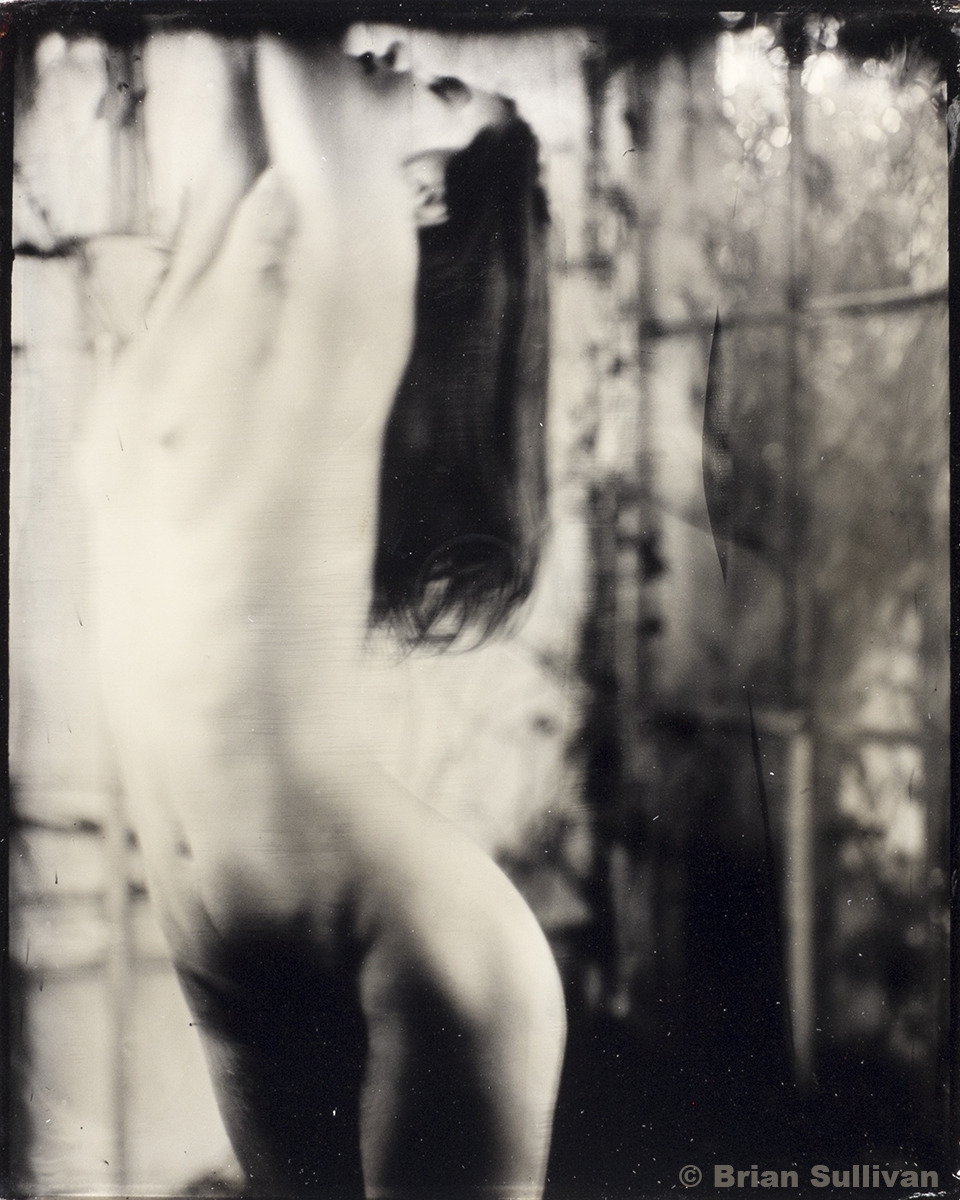 b7lab:  8x10â€³ Ambrotype - Kyotocat 2015