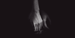 sharingitall69:  submissiveinclination:  memoryanddesire-stirring:  quietcharms:  yup. hand thing  Every time.  Hands…~smile~   Beautiful male hands ~ lady