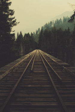 earthyday:  Vance Creek Bridge  by Zachary Snellenberger 