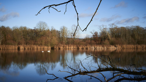  Tranquility at the Doode Bemde- Oud-Heverlee, Flemish Brabant, Belgium. 