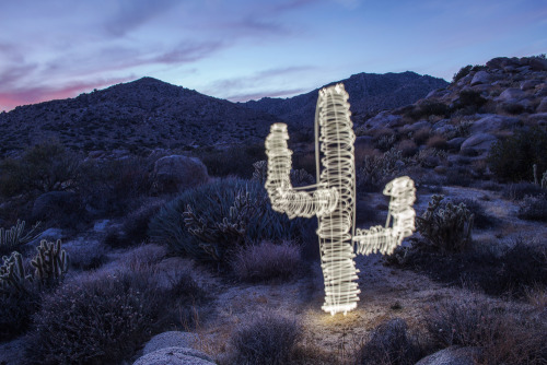 dariustwin:DAILY LIGHT LEAK: ImposterLocation: Anza Borrego, CA.Settings: F10, iso100, 105 second ex