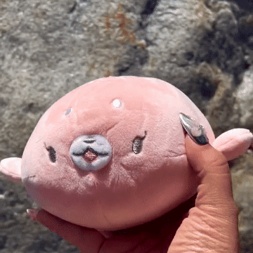 Seal Plushies