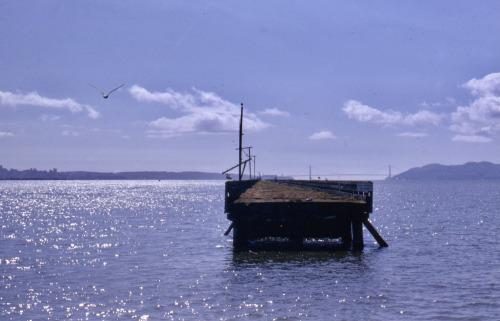Abandoned Key System Ferry Pier, Berkeley Marina, California, 1969.