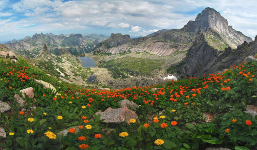 tearyplant:vineayl:naturalsceneries:Breathtaking photo of a mountain range with flowers blooming. So