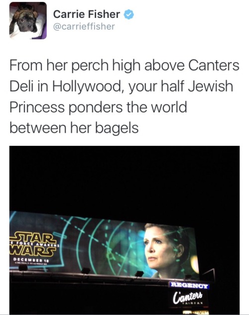 iwilltrytobereasonable:kleenexwoman:tikkunolamorgtfo:leave-it-to-becca:Carrie Fisher owns Twitter ev