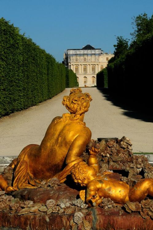 denisedecastroworld:    Flore Le bassin de Flore, le château de Versailles   