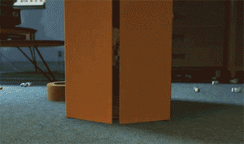 itsthelesbiana:  bitxhh-cagna-xox:  itsthelesbiana:  Why do people ask me what my