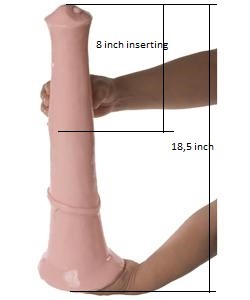 zendildos:  coldlatexbitch:  tasksforsubsandslaves:  tempstric:  Amazing model pussy pounded by monster horse dildo ! Trojan horse dildo 18,5 inch by 2.5 to 4.5 inch diameter !!! May be 8 inch by 3 inch diameter, deep her vagina !!!  Who wants to try