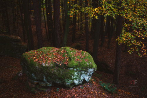 Autumnal dawn by Stephan Amm