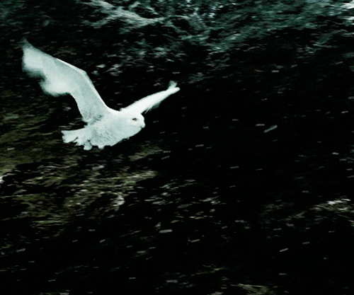 carricfisher: Harry Potter and the Prisoner of Azkabandir. Alfonso Cuarón | 2004