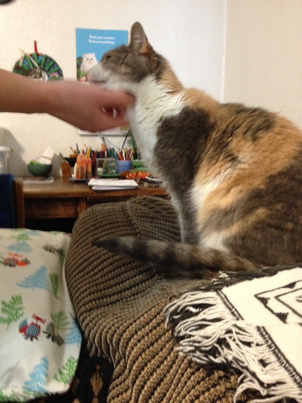cremisius:a graceful and dignified creature