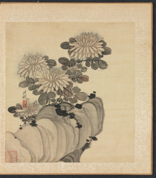 Paintings after Ancient Masters: Chrysanthemum and Rock, Chen Hongshou, 1598-1652, Cleveland Museum 