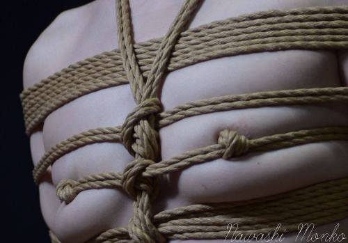 japanesebdsmofficial: Shibari&Photo Nawashi Monko