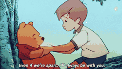 disney-archive:  want disney posts on your dash?
