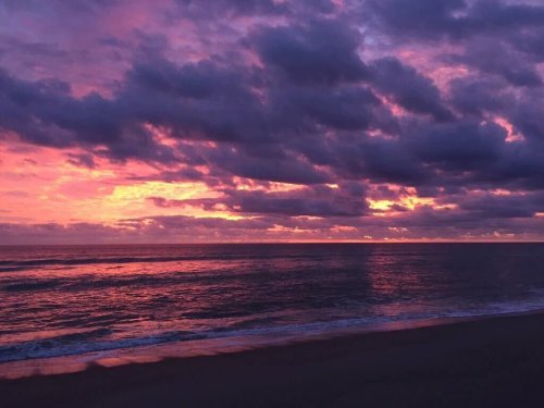 favputa:  Melbourne, Florida