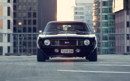 rhubarbes:  Camaro SS via Car-Addicts.com.   (via Car-Addicts.com)