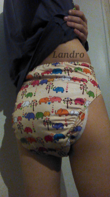 landrovalb:  I bought myself cloth diaper cover. I LOVE them !Actually, these are just regular cloth diapers (so not AIO), and I ordered reusable stuffers for them. I just need to make sure not to go poopy in them :/ )