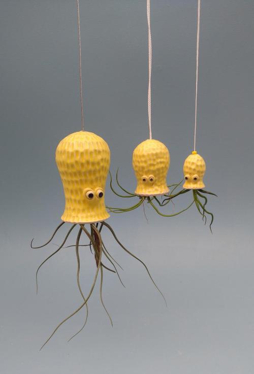 Adorable Mini Octopus Air Plant Hanger. How cute ! Available here 