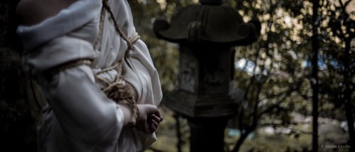 hajimekinoko:Shibari in the shrine