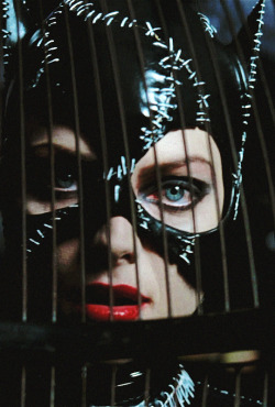 vintagegal:  Batman Returns (1992) dir. Tim Burton 