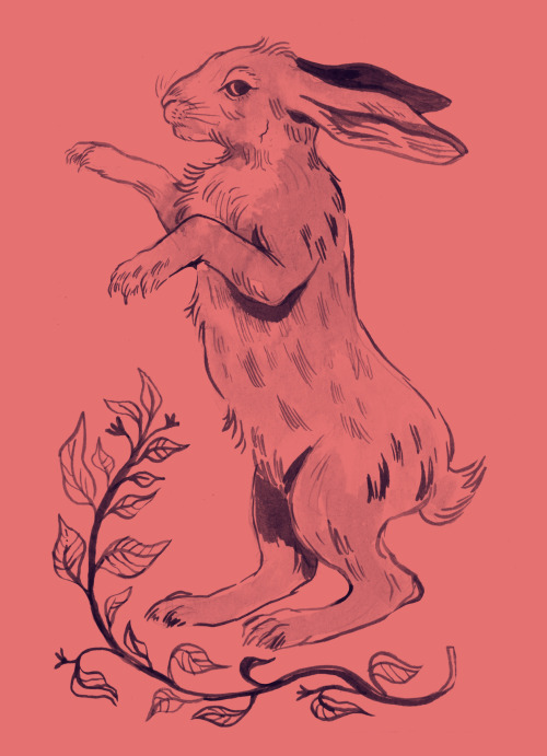 Day 27 Lightning speed - hare