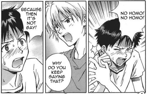 mis-o:Just give up, Shinji.