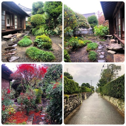 ＼おにわさん更新情報／ ‪[ 鹿児島県出水市 ] 出水麓武家屋敷 三原邸庭園 Izumifumoto Samurai House Mihara-tei Garden, Izumi, Kagoshima