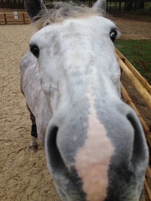 This is why it’s so hard to get a flattering photo of him 