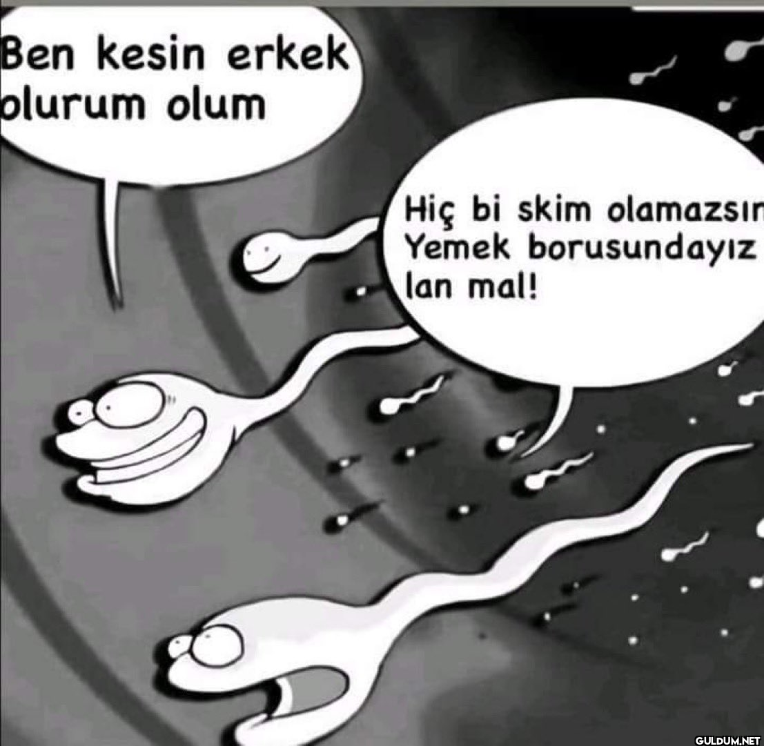 Ben kesin erkek olurum...