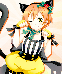 celices: rin hoshizora + cat eats (◕‿◕✿)