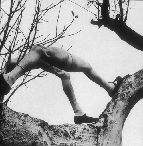 Sex sangatte: Hans Bellmer pictures