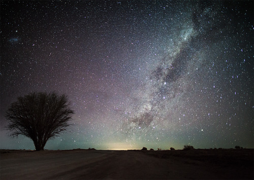 davidesky2:by Nicholas Buer