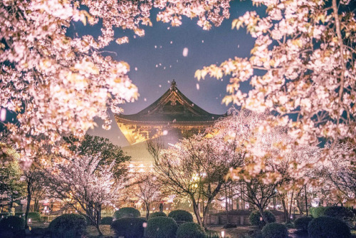 inkxlenses:Tō-ji during a bright spring evening | © Manabe Hisanori