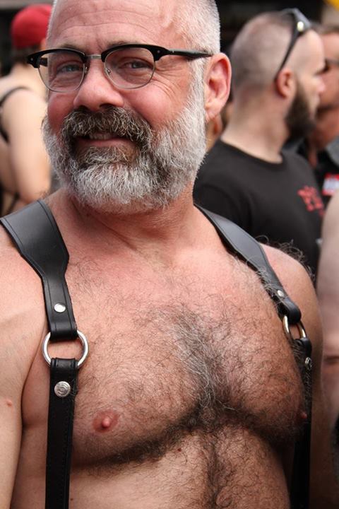 Bears, daddy, handsome older man, mature man