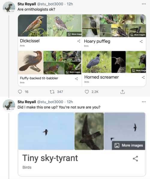 pterygota:thegunlady:  bird twitter is lighting porn pictures