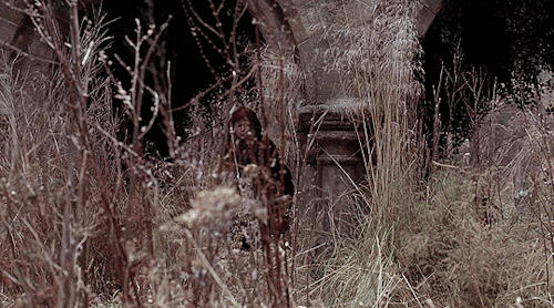 reedakas:The Secret Garden (1993) dir. Agnieszka HollandBazen tutacak bir dalın olmaz ve son bahar r