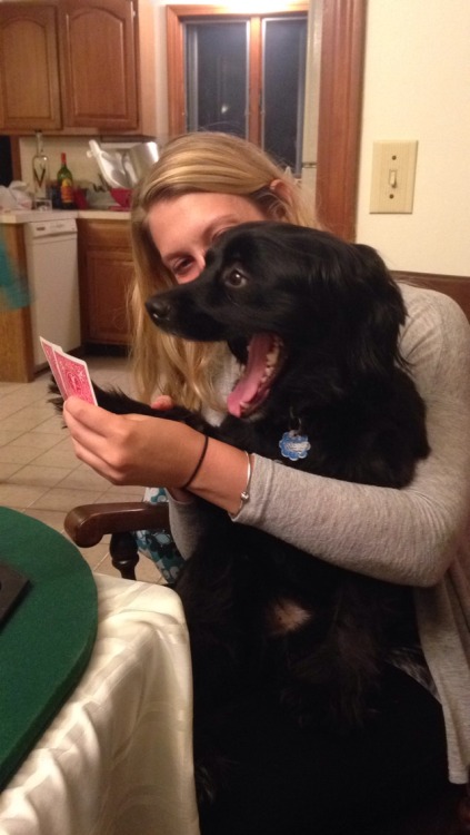 communistbakery: smh this dog has a terrible poker face