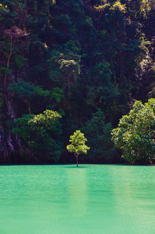 asylum-art-2:   Incredible Beauty of  Wild Nature   As an author of Empty Kingdom,