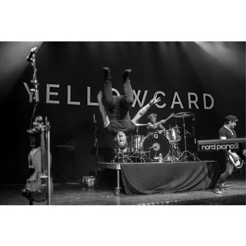 New Yellowcard?!?? Fuck yes!  #Yellowcard #lonetree #hopelessrecords  @smackinyc @thelonetreerecordi