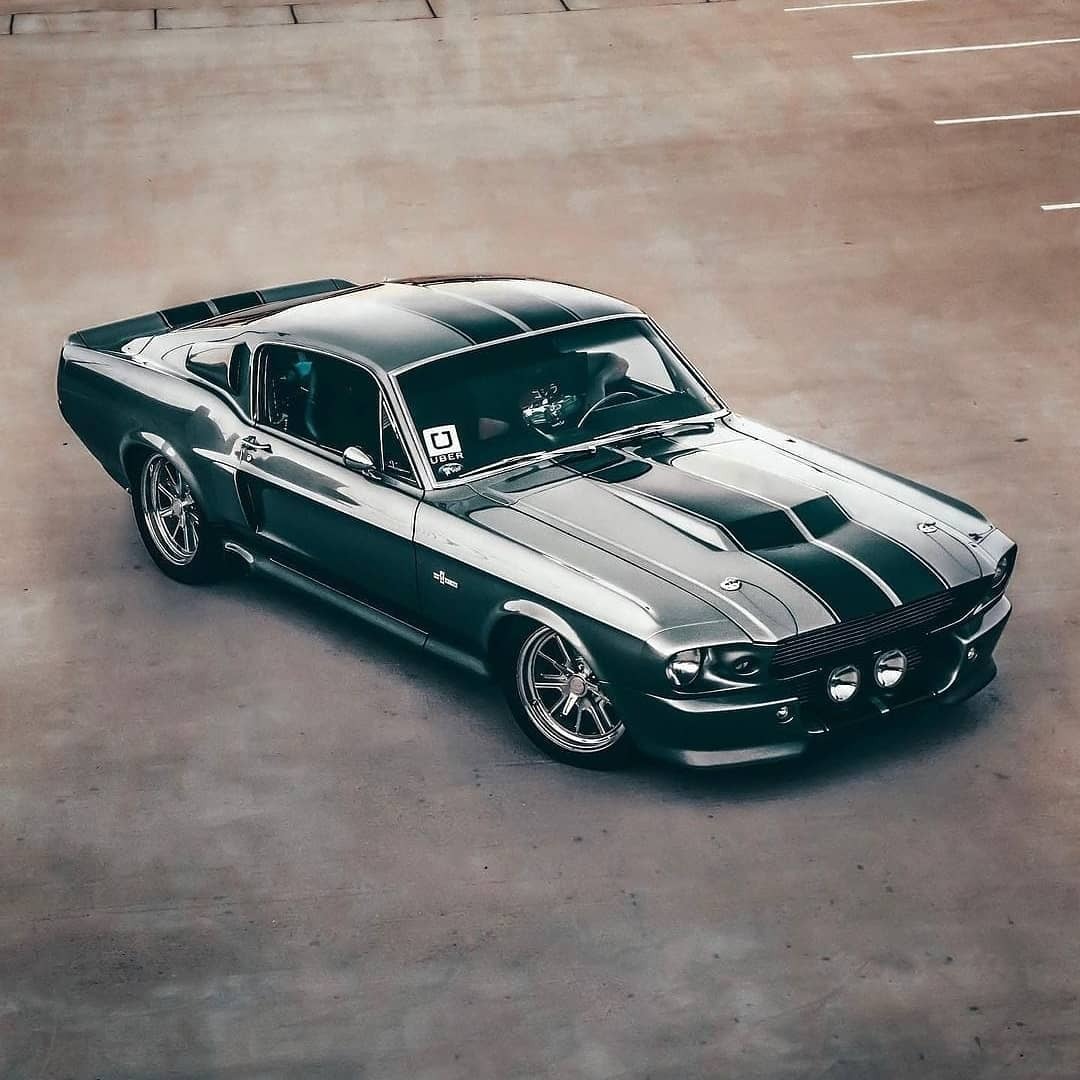 MUSTANG SHELBY!...
