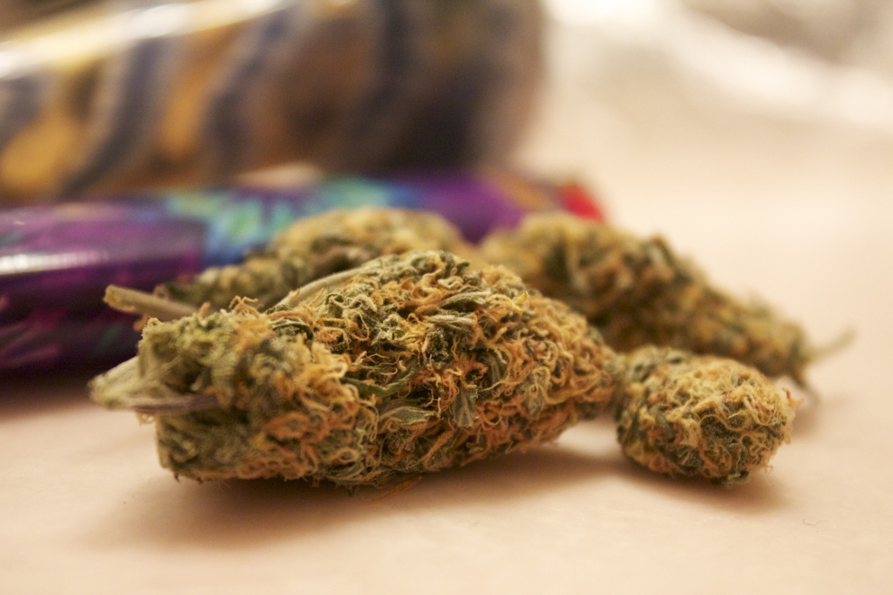The Cannabis Queen